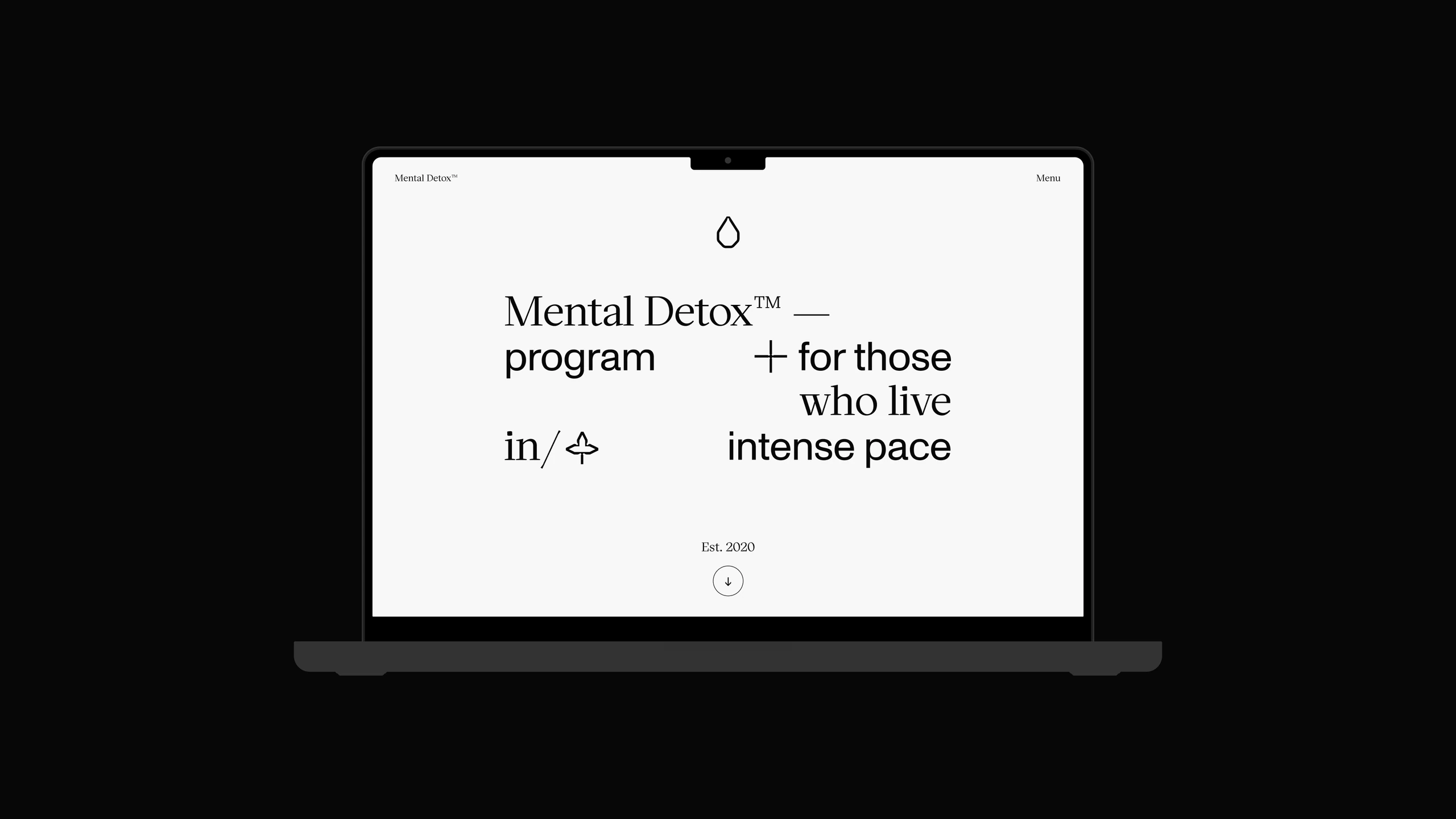 Mental Detox, The Program 1